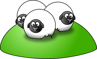 sheepes